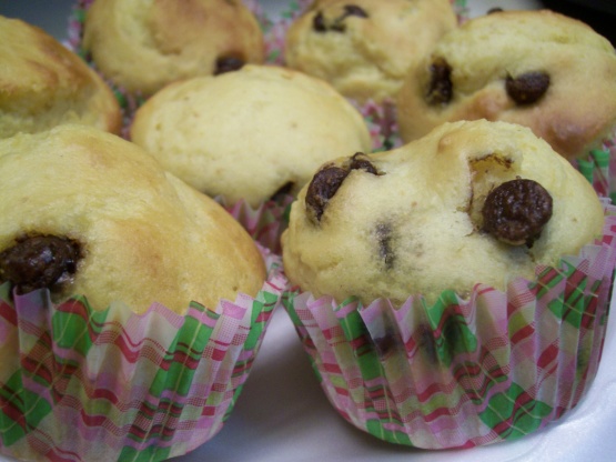 Awesome Orange Chocolate Muffins Recipe - Genius Kitchen