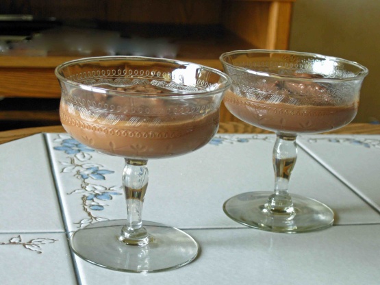 Instant Chocolate Pudding Mix Recipe - Food.com