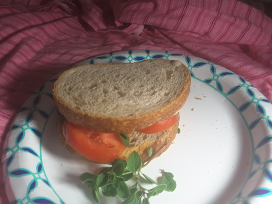 Eggplant Hummus Sandwich Recipe - Food.com