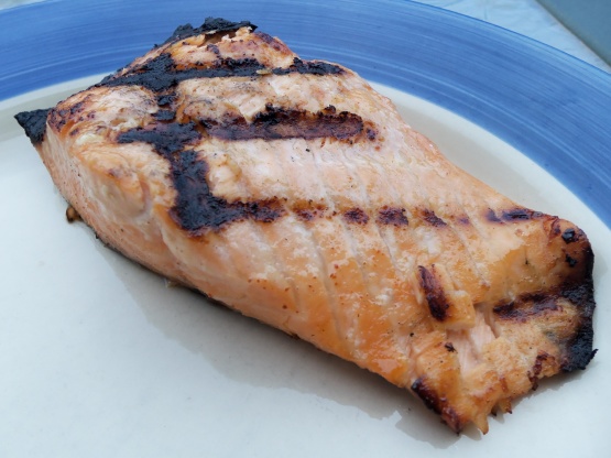 Zesty Marinade for Grilled Wild Salmon Fillets Recipe - Food.com