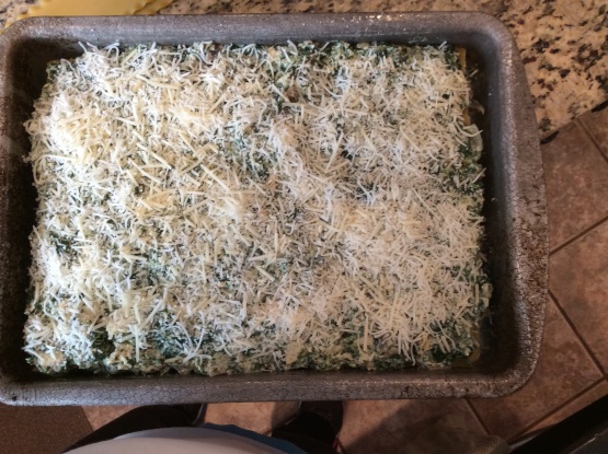 Chicken and Spinach Pesto Lasagna Recipe - Food.com