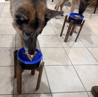 Doggie Birthday Cake for Dogs Recipe - Food.com
