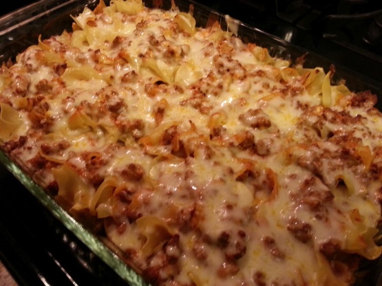 Beef Noodle Bake Recipe - Genius Kitchen