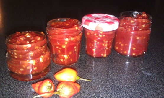 Simple Hot Chilli Sauce