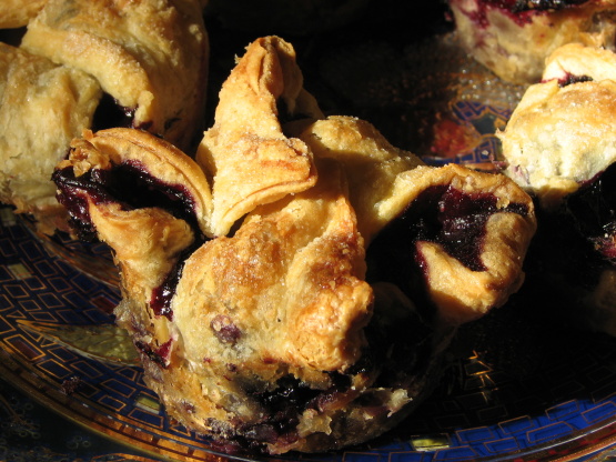 Mini Blueberry Pies Recipe - Food.com