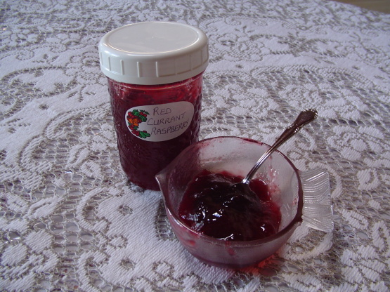 raspberry red currant jelly