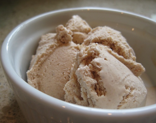 Cuisinart cinnamon on sale ice cream