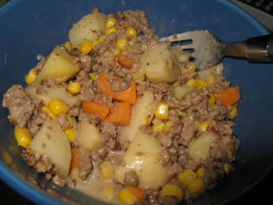Crock Pot Hamburger n Potato Casserole Recipe - Genius Kitchen