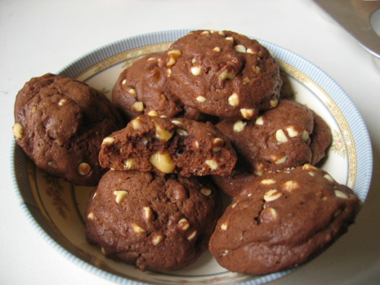 Double Chocolate Chocolate Chip Cookies