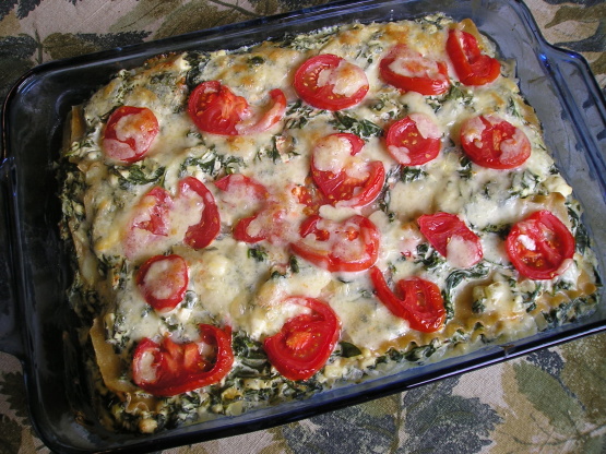 Spanakopita Lasagna Recipe - Food.com