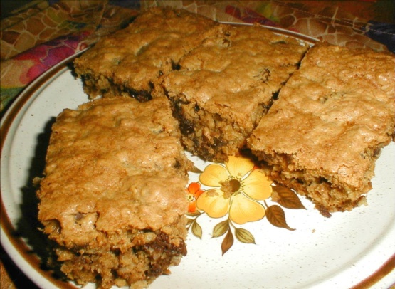 Oatmeal Raisin Chocolate Chip Bars Recipe - Food.com