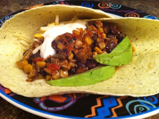 EL POLLO CINCO DE MAYO &ndash; SLOW COOKER MEXICAN CHICKEN Recipe - Food.com