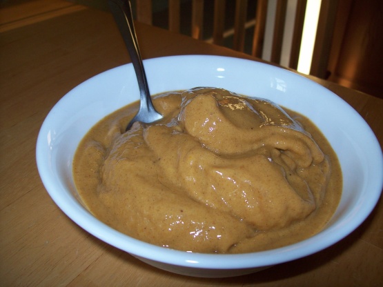 Vegan Pumpkin Ice Cream Recipe - Food.com