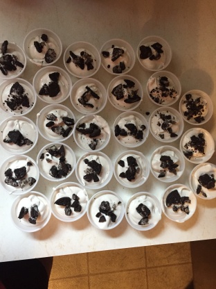 Rum Chata Oreo Cookie Pudding Shots Recipe - Food.com