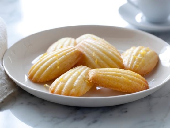 Lemon Madeleines