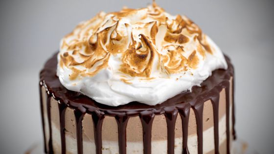 S'mores Drip CAKE
