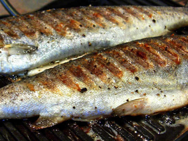 Quick Grilled Trout