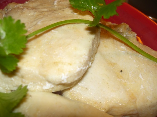 Frozen Chicken Breasts In Microwave Recipe - Food.com