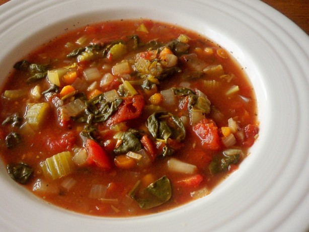 Tomato-Vegetable Soup