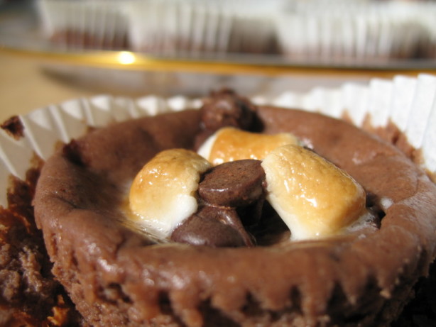 Light Rocky Mountain Mini Cheesecakes