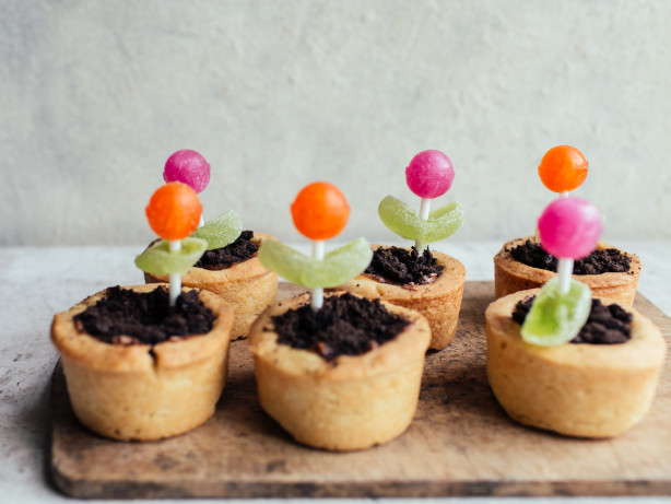 Lollipop Flower Pots