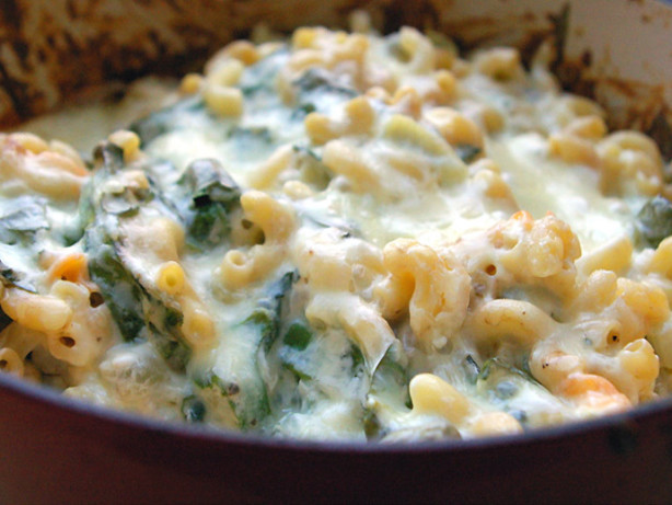 Creamy Macaroni & Spinach Bake