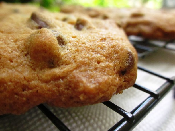 Semi-Sweet Chocolate Chip Cookies
