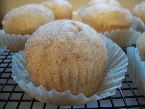 Mini Doughnut Cupcakes
