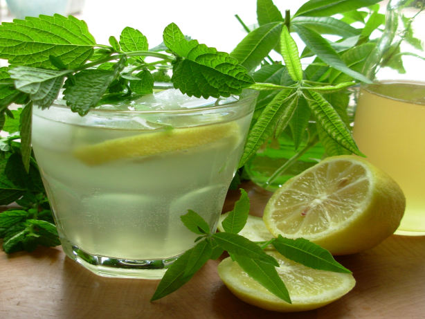 Old Fashioned Lemon Balm And Lemon Verbena Lemonade Syrup Recipe - Food.com