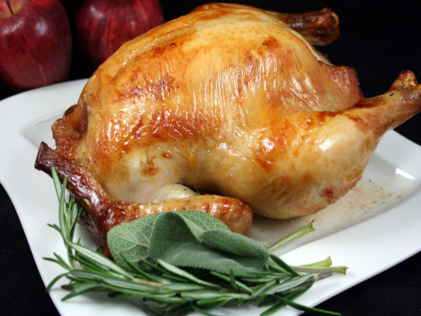 Brined: Alton Brown's Brined Turkey