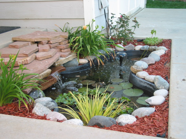 Information About Rate My Space | Questions for HGTV.com ... Information About Rate My Space | Questions for HGTV.com ... on Front Yard Pond id=12212