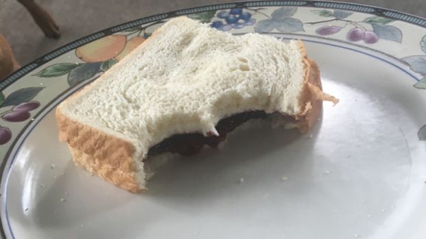 Cream Cheese & Jelly Sandwich